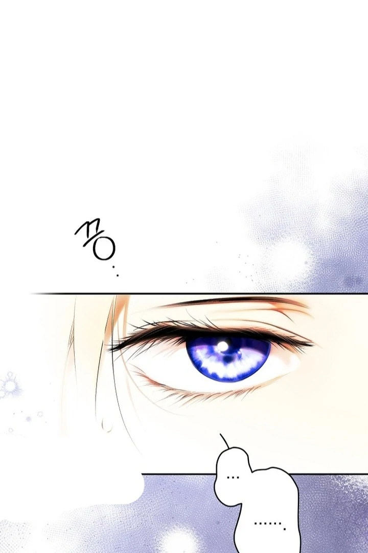 Secret Lady Chapter 116 84
